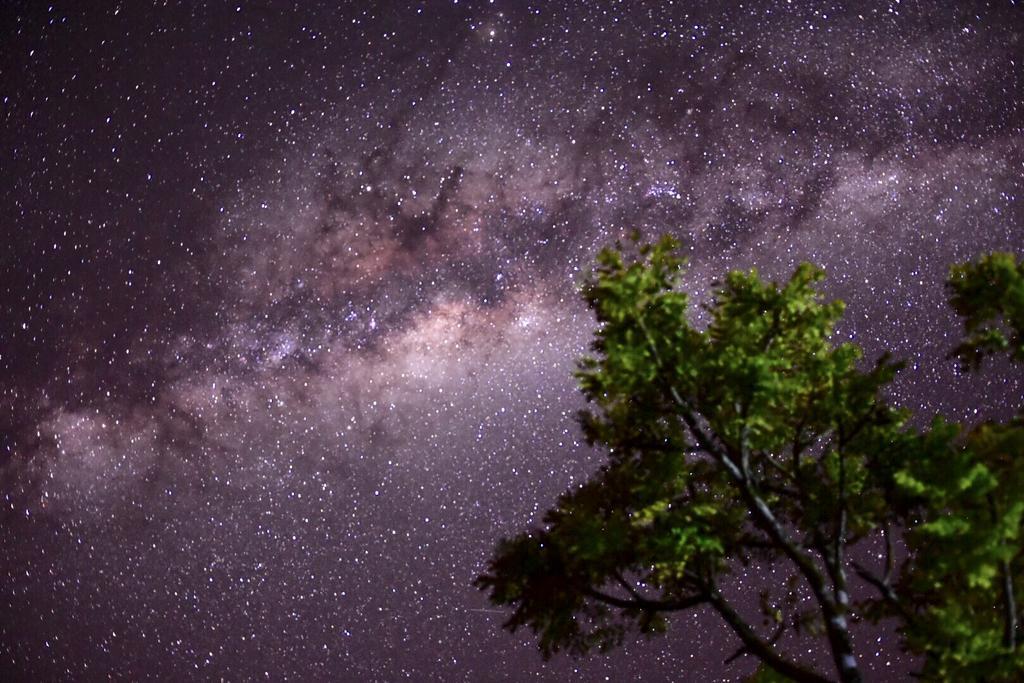 Pousada Encantos Do Cerrado Delfinópolis المظهر الخارجي الصورة